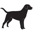 Labrador