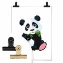Plakat - Spisende Panda