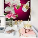 Zelfklevende Poster  Beautiful Orchid