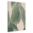 Lienzo Calathea planta - Sisi & Seb
