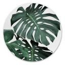 Wandcirkel Sisi & Seb - Monstera