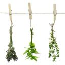 Revêtement pour cuisine - Alu-Dibond - Herbes