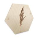 Hexagon Hout Siergras No. 1