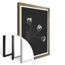 Plakat - Pan - Tulipantrio