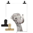 Plakat - Sisi & Seb - Baby Elephant