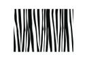 Zebra Mønster 2