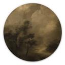 Cuadro de madera Arboles en la bruma crepuscular - Hobday - Redondo