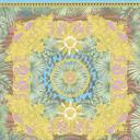 Versace jungle tapet farverigt non-woven tapet natur design tapet stue