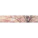Papier peint photo Coleman - Primavera - Panorama - 48x260 cm