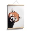 Plakat Red Panda - Korenkova