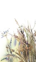 Fototapet blomster, blade blomster natur mat i hvid, grøn 2,70 x 1,59m