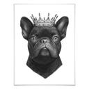 Plakat - Korenkova - King French Bulldog