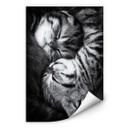 Zelfklevende Poster - Jancova - Sweet Kitten