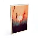 Cuadro de madera Hierbas a la luz del sol resplandeciente - Treechild