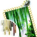 Poster - Bamboo Forest