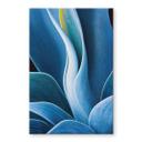Tableau sur verre Wechsler - Plantes d'agave 