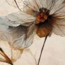 Fotomural floral | flores secas - elegancia de lo pasajero - Treechild