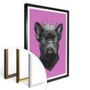 Plakat - Korenkova - King French Bulldog Pink