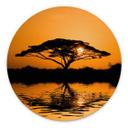 Tableaux Afrique | Paysage romantique pour le salon - Alu-Dibond Rond