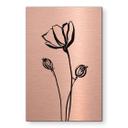 Geborsteld Alu-Dibond met goud-, zilver- & kopereffect - Line Art klaproos - Cats & Dotz
