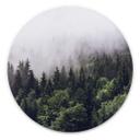 Wandcirkel Foggy Forest