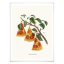 Póster Suelto - Pizzería