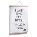 Poster - I can't have nice Things
