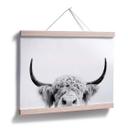 Plakat - Sisi & Seb - Bull