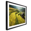 Póster Intarob - Arrozales en Vietnam