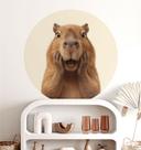 Overrasket Capybara Wallsticker - Rund