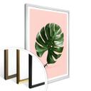 Póster Suelto - Monstera Ant