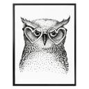 Affiche Kvilis - Le petit hibou