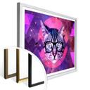 Póster Gato Nerd