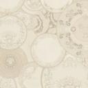 Versace ikke-vævet tapet Art De La Table Circles Floral Meander Medusa Beige Metallic