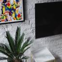 Poster Oiseaux tropicaux