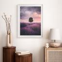 Póster Campos de lavanda púrpura al atardecer - Cevik