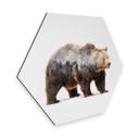 Hexagon - Alu-Dibond - Beáta - The Bear