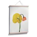 Póster La flor roja y amarilla