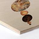 Hexagon Hout Fredriksson - Balance