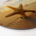 Tableau en Alu-Dibond Etoile de mer dans le sable - Rond