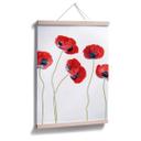 Plakat - Disher - Valmuer