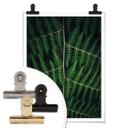 Plakat - Botanical 03