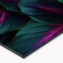 Køkken backsplash Farverige jungleplanter - Paksoylu