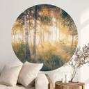 Vinilo decorativo Sol en el bosque de abedules - Kado - Redondo