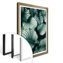 Plakat - Urban Jungle - Calathea Orbifolia