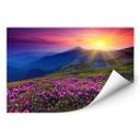 Poster autocollant - W - Coucher du Soleil en Montagne