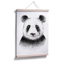 Póster Kvilis - Oso panda