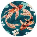 Tapet cirkel To koi i en dam - SpaceFrog Designs - vliesetapet/selvklæbende non-woven tapet
