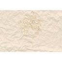 Livingwalls papier peint photo ARTist Paper Face beige