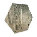Hexagone - Bois Talen - Repos matinal